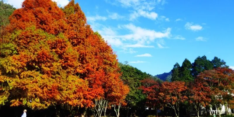 Du lịch Đài Loan tháng nào trong năm là đẹp nhất