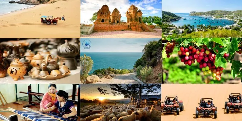 Những địa điểm du lịch nổi bật ở Ninh Thuận