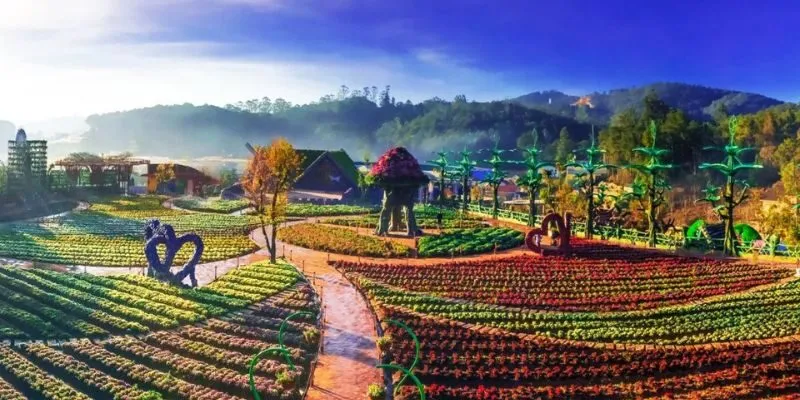 Đặc điểm nổi bật của Tour Du lịch Đà Lạt 1 Ngày 1 đêm