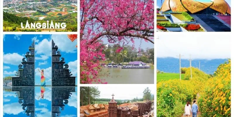 Lịch trình chi tiết Tour Du lịch Đà Lạt 1 Ngày 1 đêm